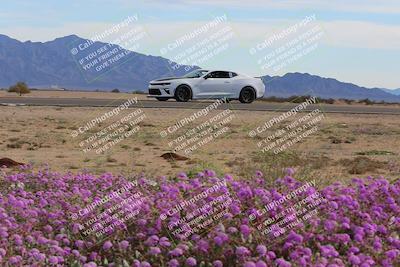 media/Jan-08-2023-SCCA SD (Sun) [[8f6a5b9391]]/Advanced Group/Session 2 (Short Straight)/